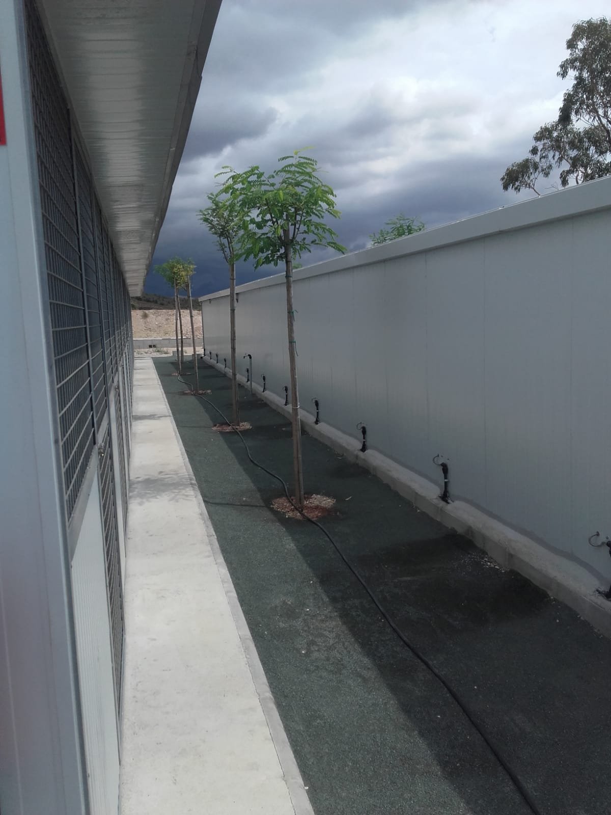 residencia canina bioko