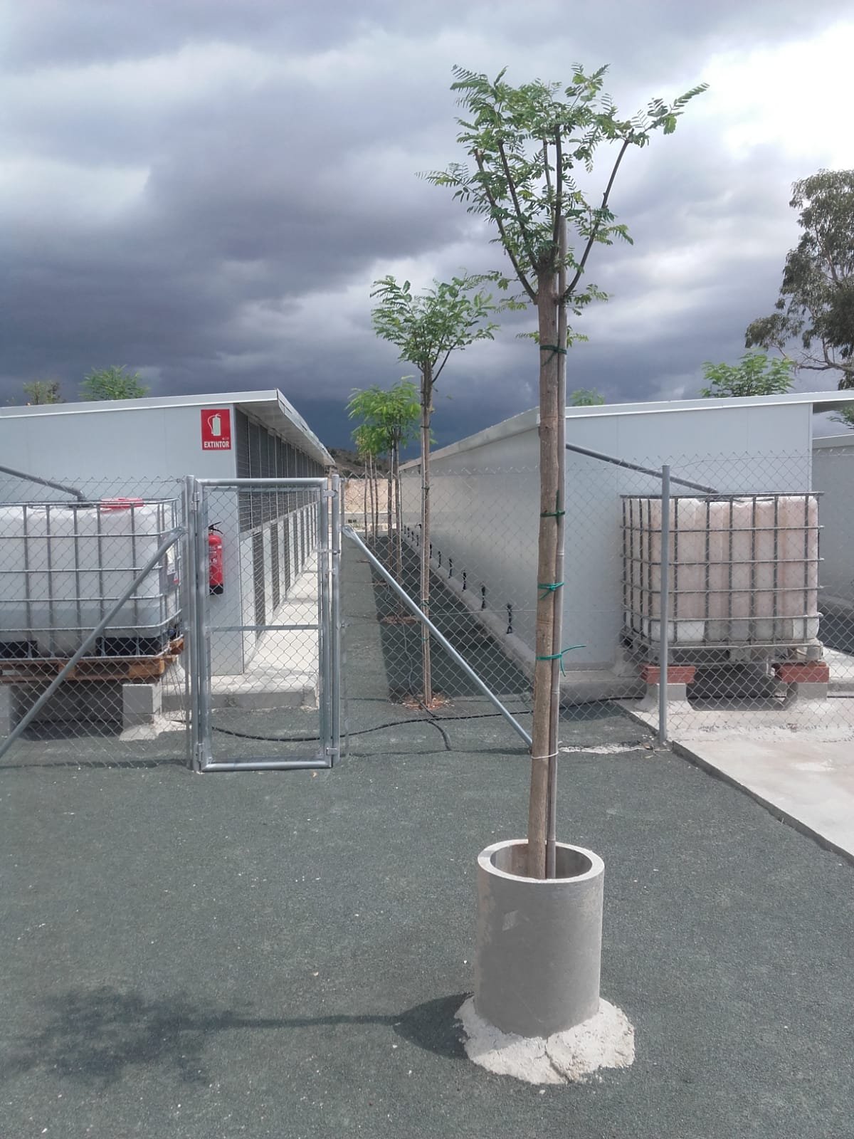 residencia canina bioko