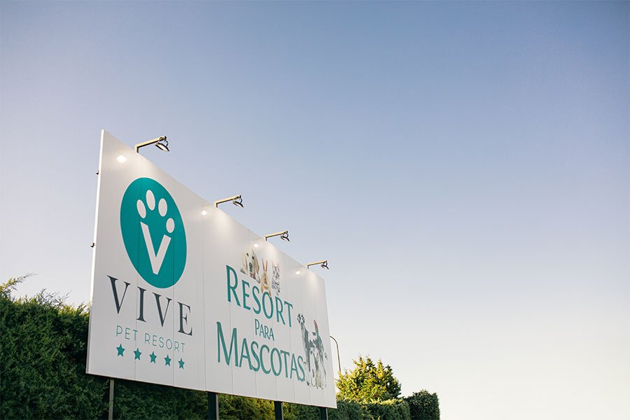 hotel canino vive pet resort