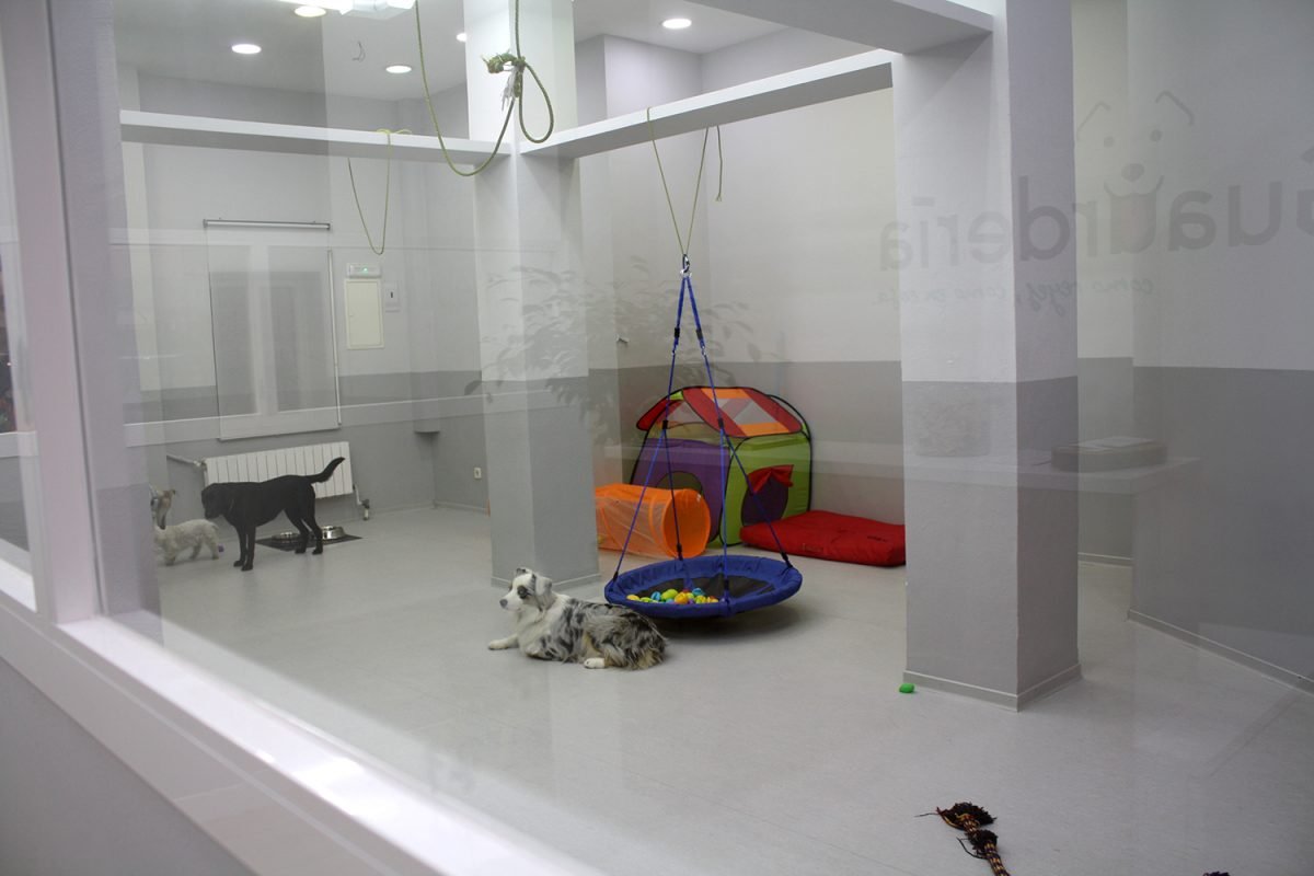 guaurderia canina