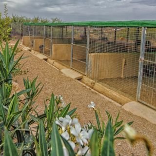 hotel para perros mojacar