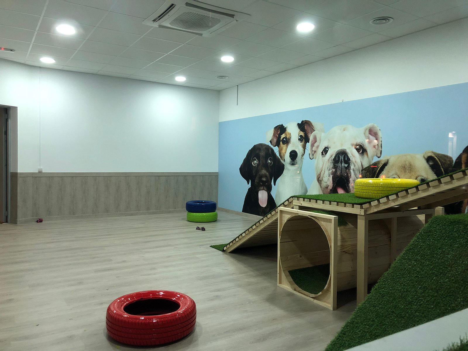 guardería canina mami dogguies
