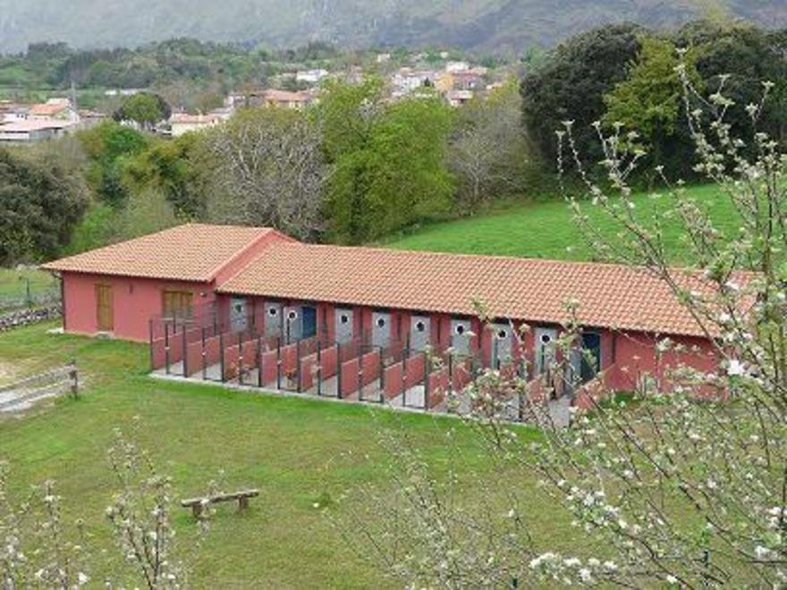 residencia canina villanueva