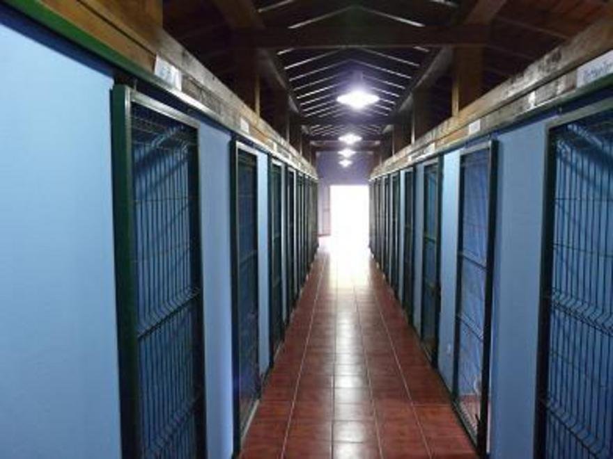 residencia canina villanueva