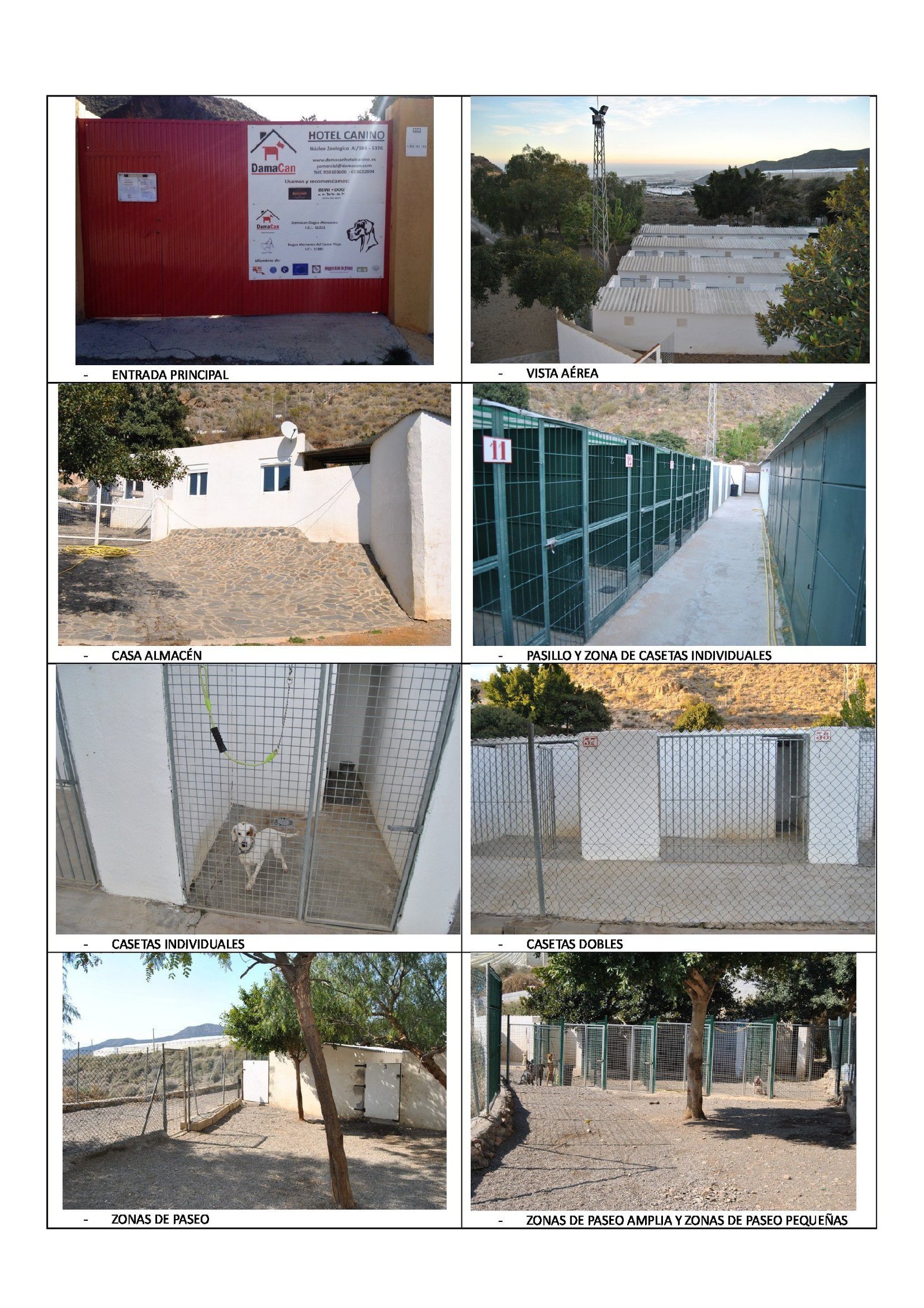 HOTEL CANINO DAMACAN