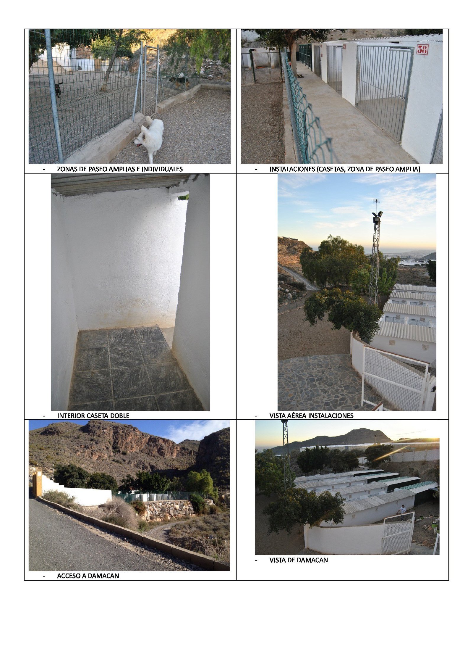 HOTEL CANINO DAMACAN