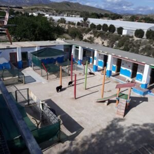 hotel canino y felino el rey de la casa