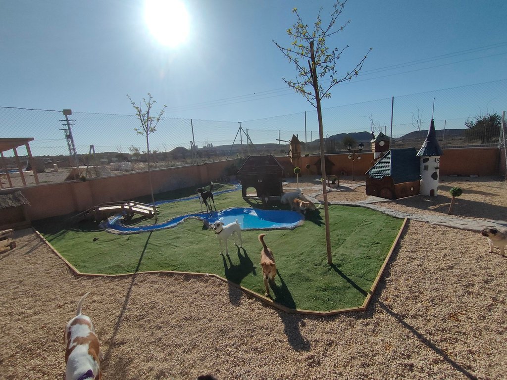 residencia canina tera can