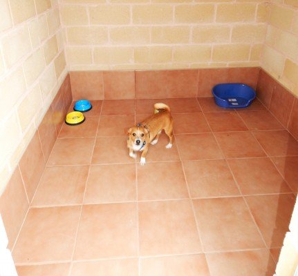 residencia canina las cortes