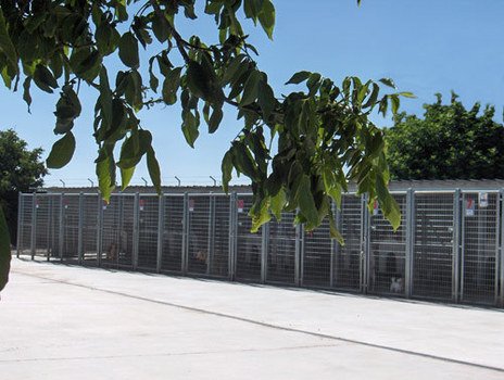 residencia canina luis ramos