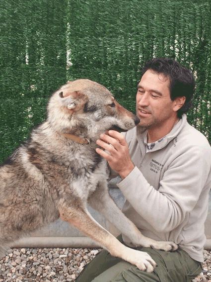 residencia canina luis ramos