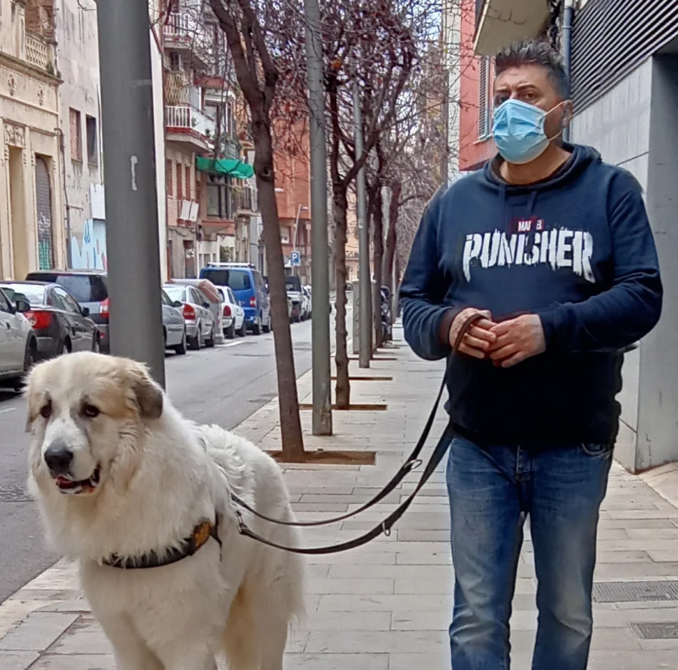 guardería canina dog care