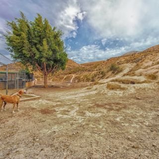 hotel para perros mojacar