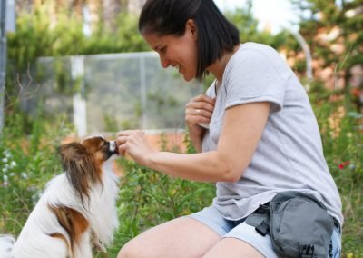 guardería canina pelos y patas