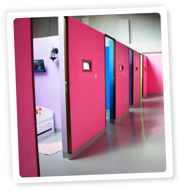 hotel canino las almenas