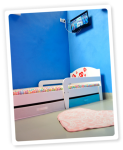 hotel canino las almenas