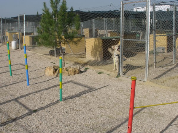 residencia canina sultan