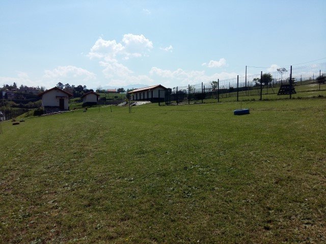 residencia canina ovican