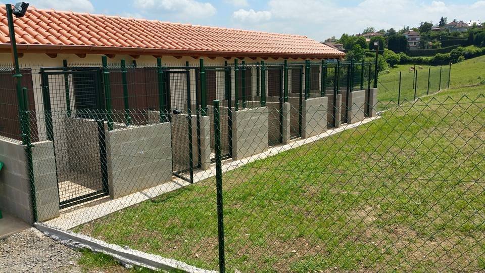 residencia canina ovican