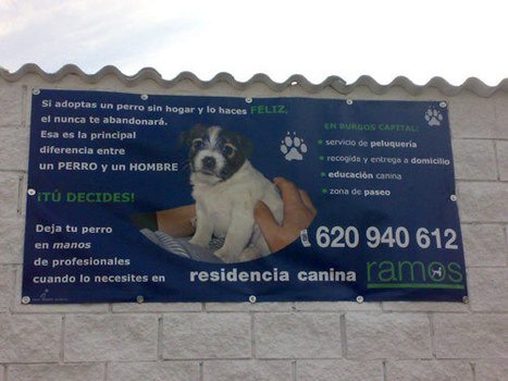 residencia canina luis ramos
