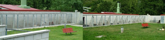 residencia canina brañavalera