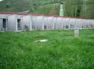 residencia canina brañavalera