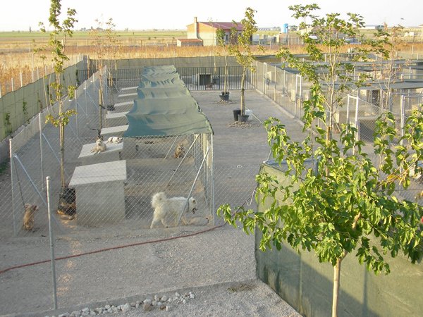 residencia canina sultan