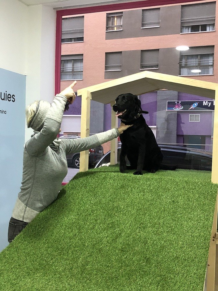 guardería canina mami dogguies