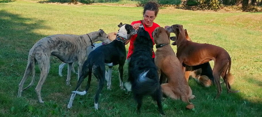 residencia canina amican