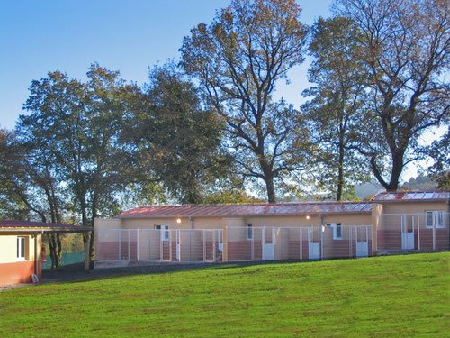 residencia canina amican