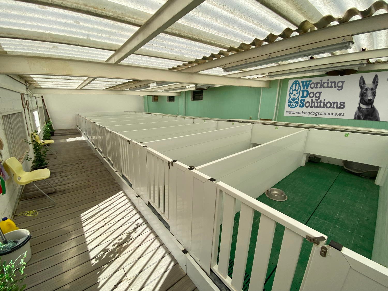 working dog solutions