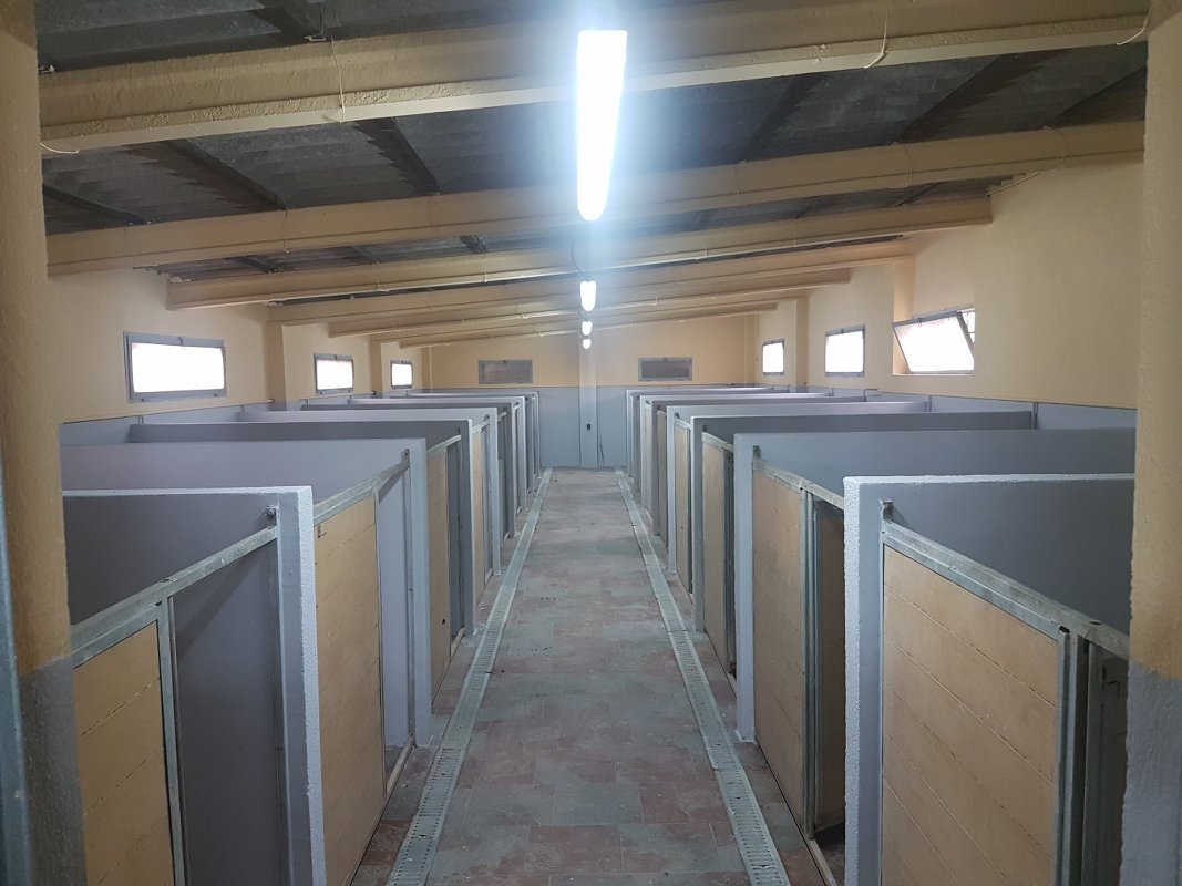 hotel de perros y gatos tres llunes en barcelona