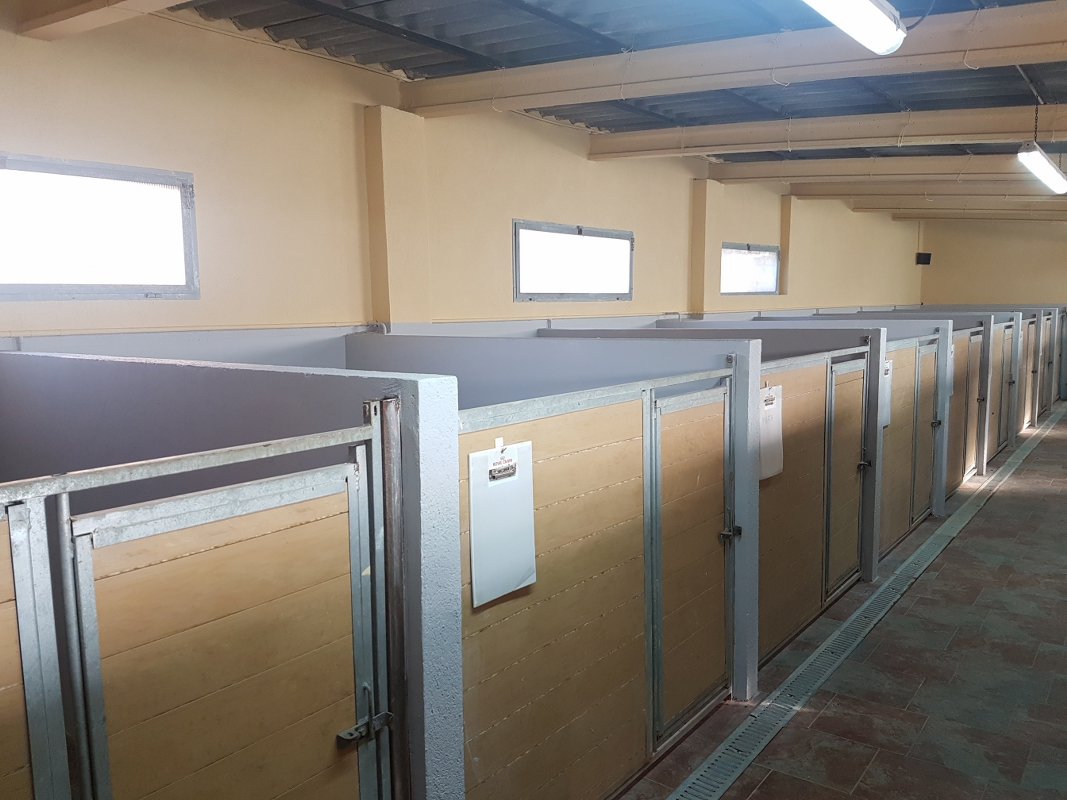 hotel de perros y gatos tres llunes en barcelona