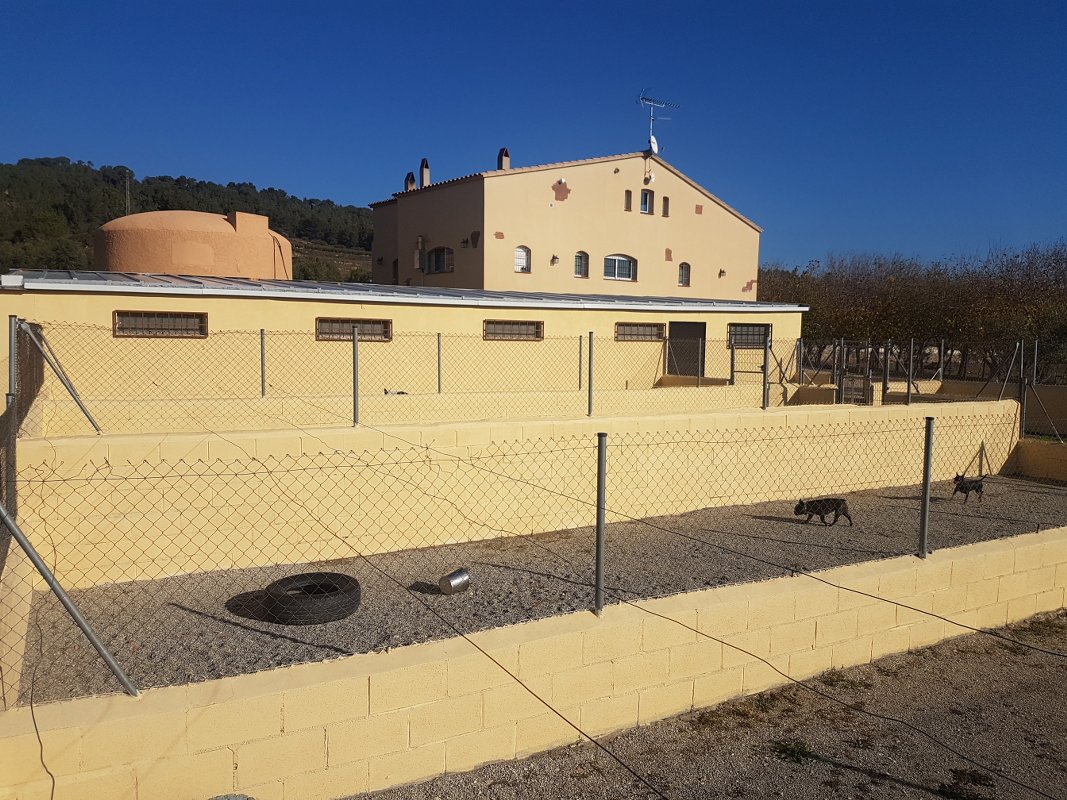 hotel de perros y gatos tres llunes en barcelona