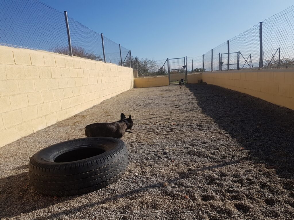 residencia canina tres llunes