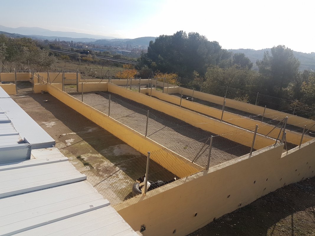 hotel de perros y gatos tres llunes en barcelona