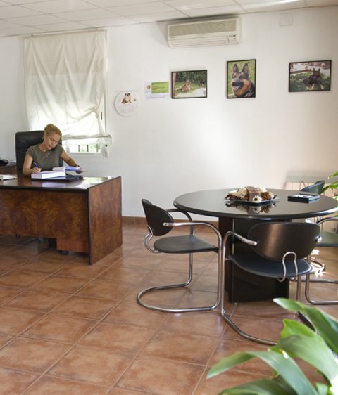 hotel canino gufy