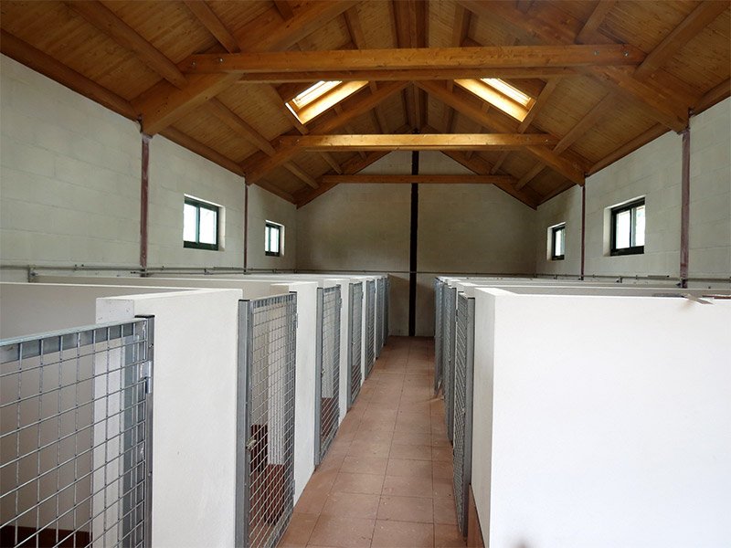 residencia canina el lugar del perro