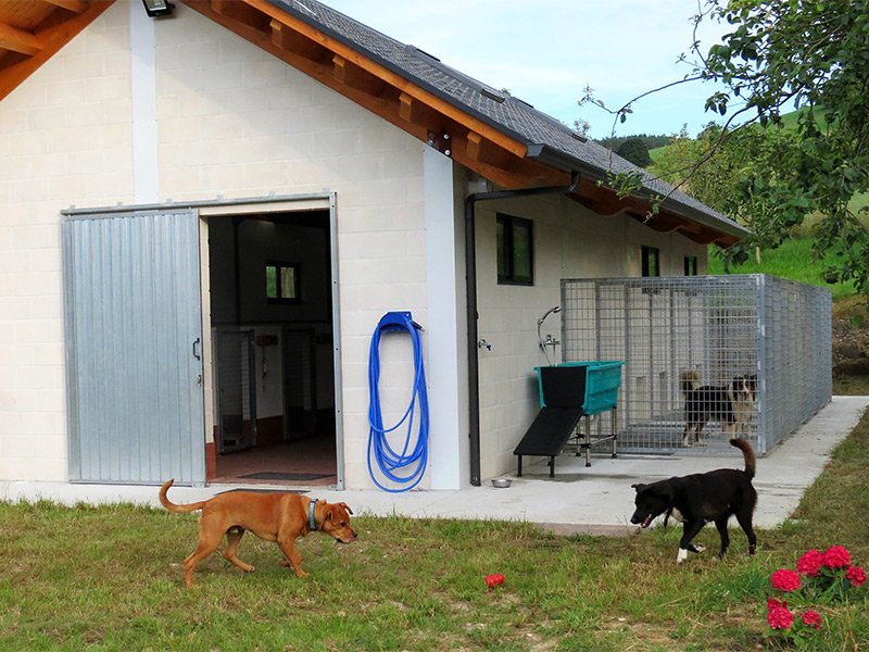 residencia canina el lugar del perro