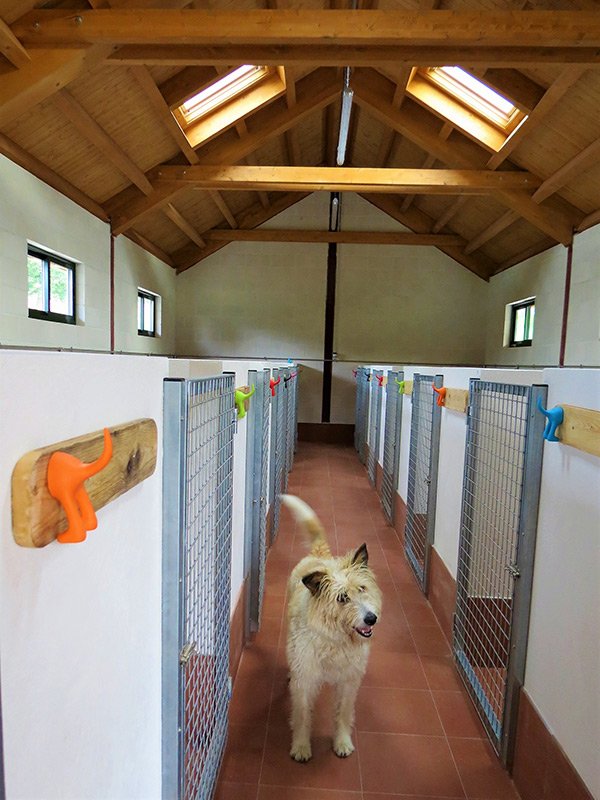 residencia canina el lugar del perro