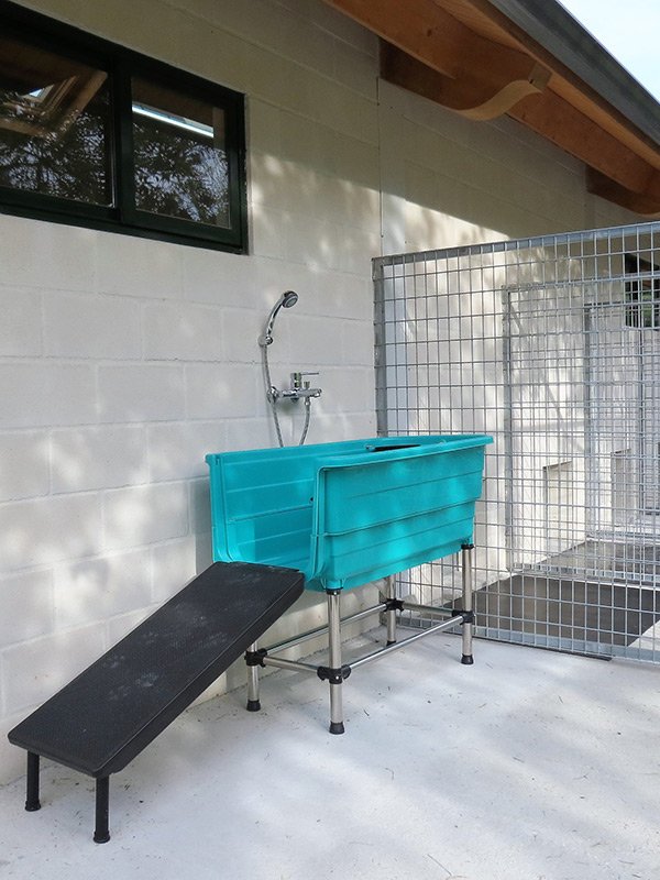 residencia canina el lugar del perro