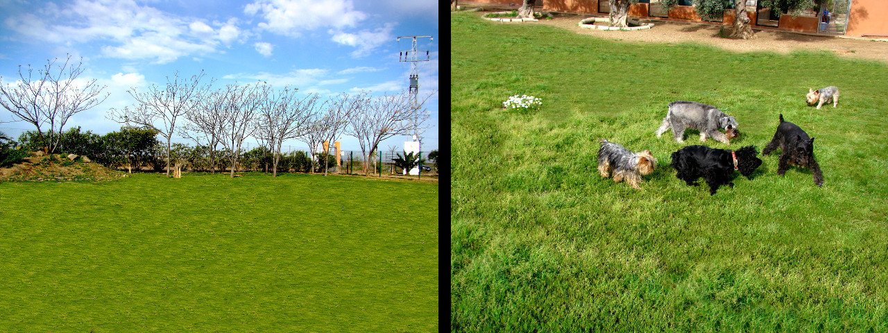 residencia canina cliveal