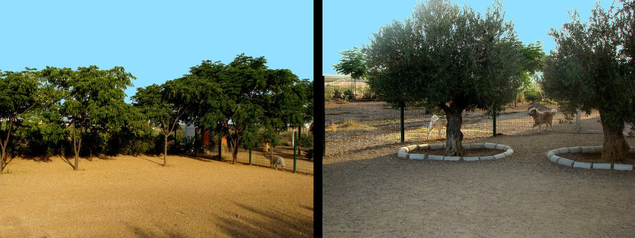 residencia canina cliveal