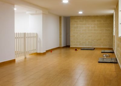 guardería canina pelos y patas