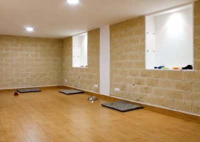 guardería canina pelos y patas