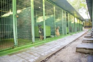 centro canino vallecan