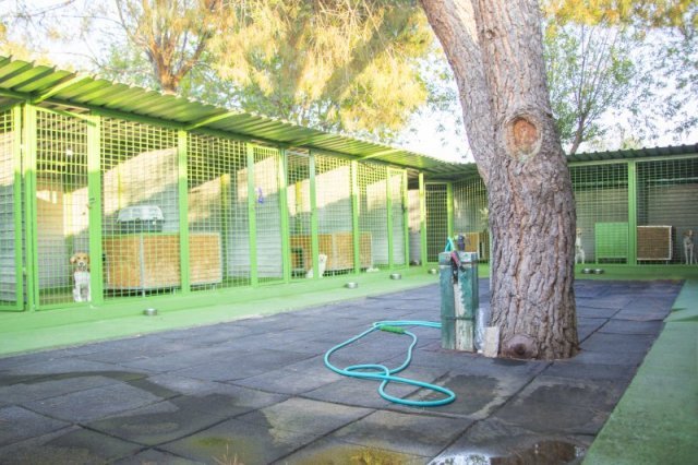 centro canino vallecan