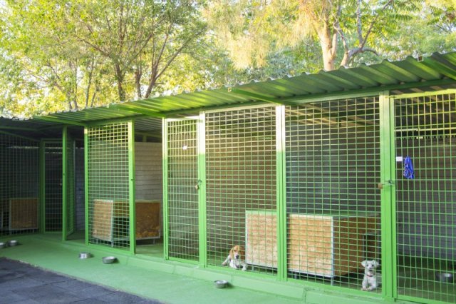centro canino vallecan