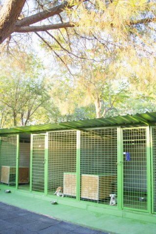 centro canino vallecan