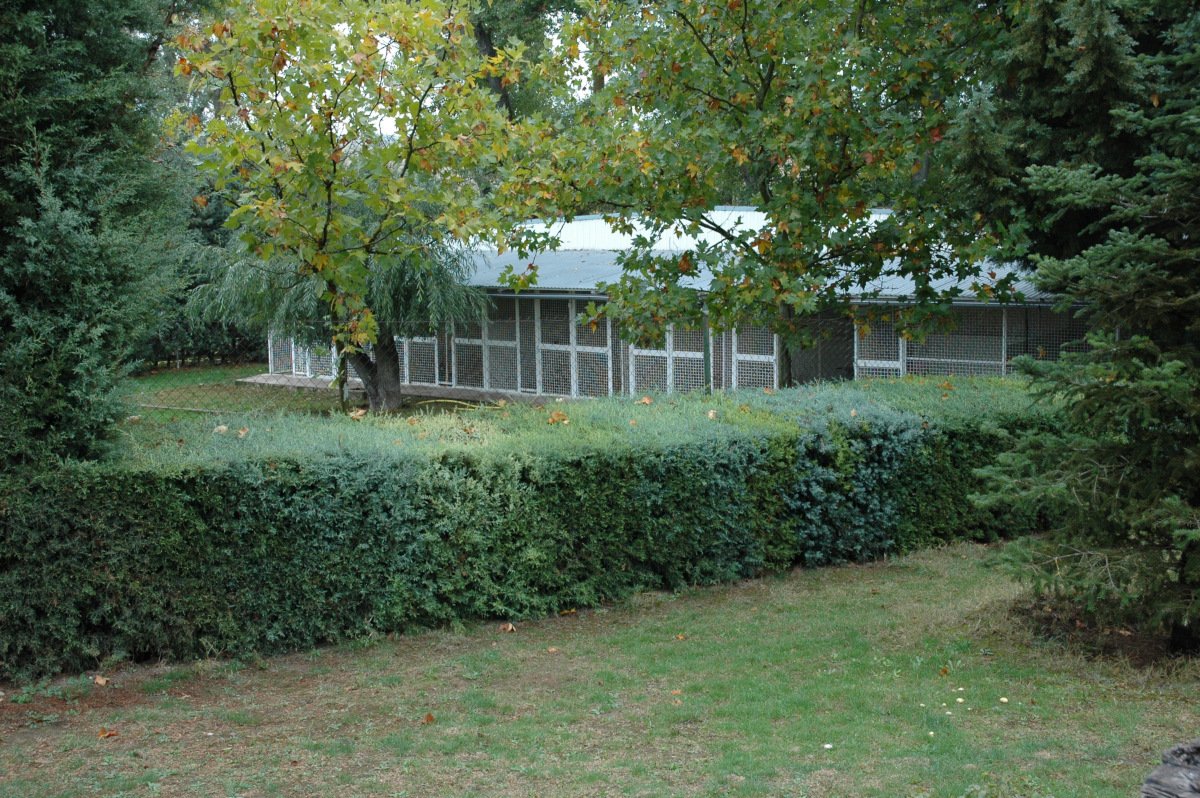residencia canina almacan